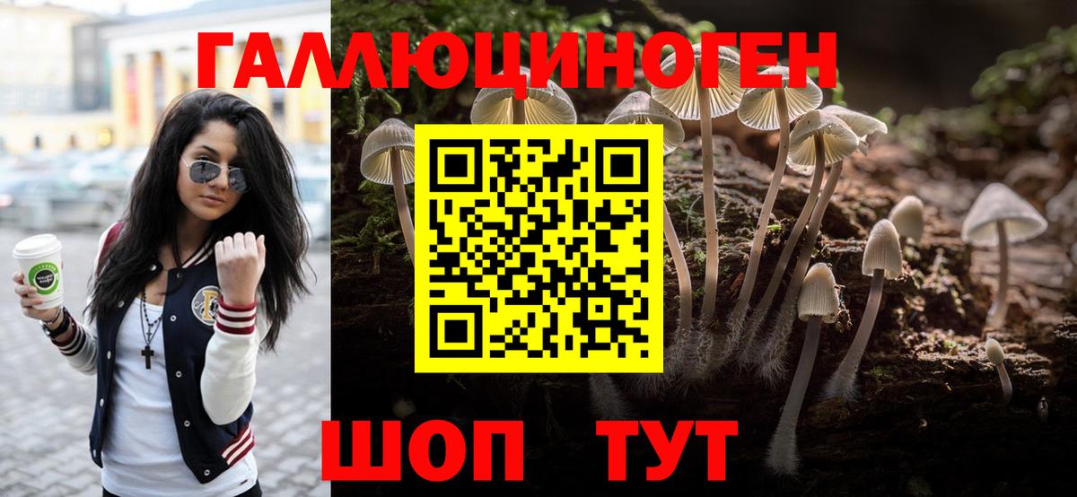 Псилоцибиновые грибы Magic Shrooms Кузнецк